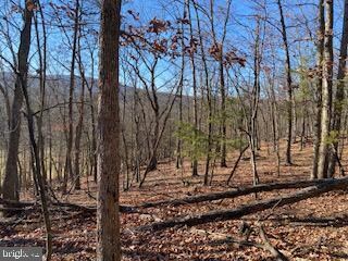 0 Christian Church Rd unit WVHS2000982, High View, WV 26808 - photo 2