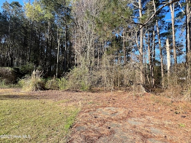 00 Wildberry Rd, Smithfield, NC 27577 - photo 2