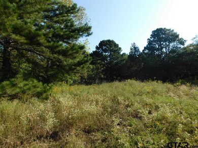 2836 Roy Rd, Tyler, TX 75791 - photo 5