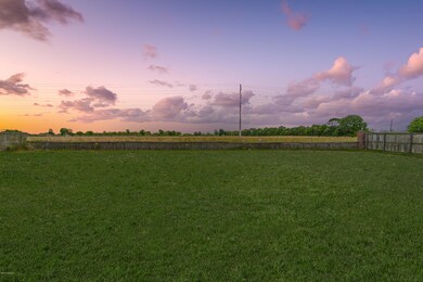 Backyard Dusk Picture