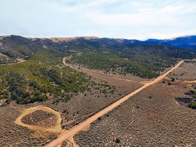 0 Slegers Rd unit 25448913, Fort Garland, CO 81133 - photo 4