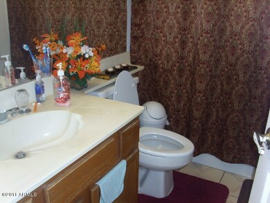 Hall or Guest Bathroom
