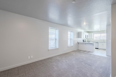 Unfurnished living room with light colored carpet, a textured ceiling, and plenty of natural light