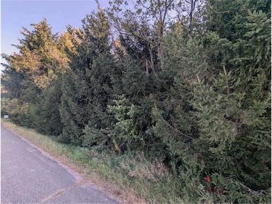 8xx 97th Street St, Amery, WI 54001 - photo 4