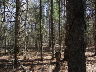 DSCF5173