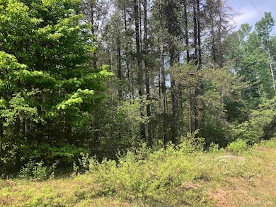 192 Johnson Lake Rd, Gwinn, MI 49841 - photo 2