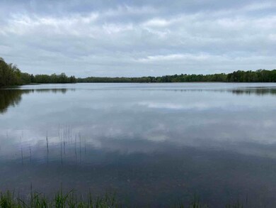 Pine Island Lake