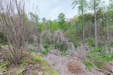 00 Battle Creek Rd, Sylva, NC 28779 - photo 7