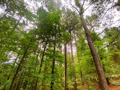 0000B Sugarberry Trail, Hochatown, OK 74728 - photo 2