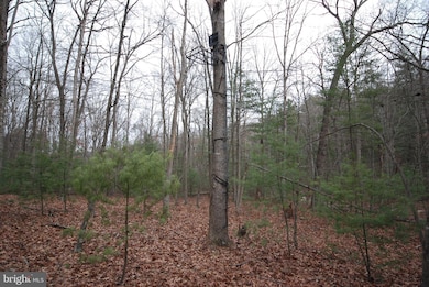 Lot 52 Pony Express Ln, Augusta, WV 26704 - photo 5