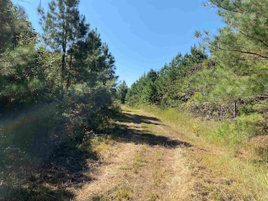 0000 Armstrong Rd, Pangburn, AR 72121 - photo 3