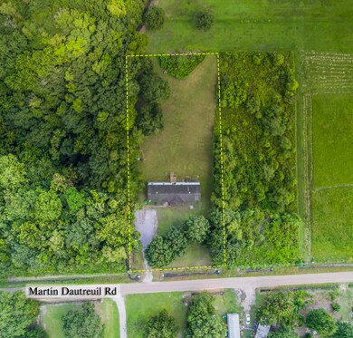 Home Lot Overhead View 1