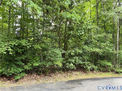 2344 Branchway Creek Dr, Powhatan, VA 23139 - photo 4