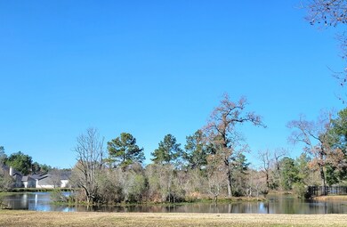 Beautiful views from the edge of the property.