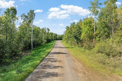 TBD - D Pinnaker Rd NW, Nowthen, MN 55330 - photo 4