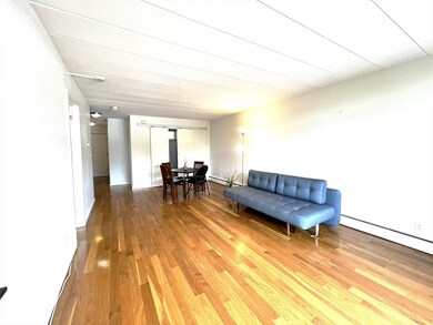 345 Harvard St unit 4E, Cambridge, MA 02138 - photo 3