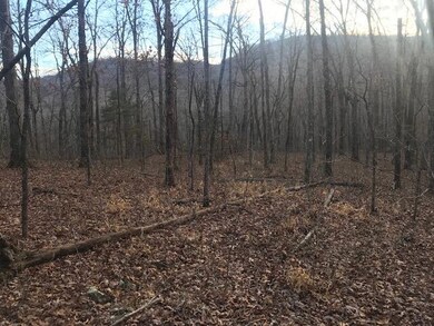 0 Nc 2660, Compton, AR 72601 - photo 3