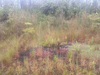 0 Ohialani Rd unit 723524, Volcano, HI 96785 - photo 3