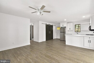 250 Ocean Pkwy, Berlin, MD 21811 - photo 6