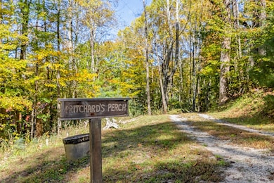 251 Panther Mountain Rd, Highlands, NC 28741 - photo 2