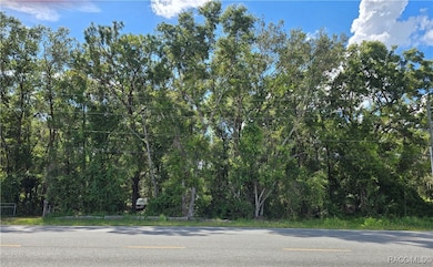 4286 N Carl G Rose Hwy, Hernando, FL 34442 - photo 2