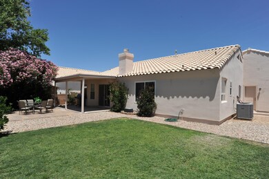 Pool Size Yard