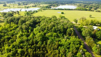 DJI_0979