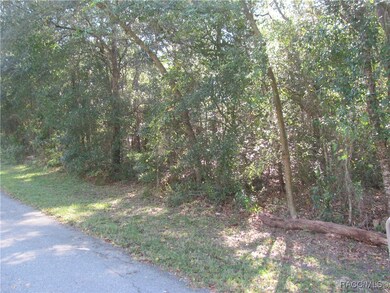 1264 E Getty Ln, Hernando, FL 34442 - photo 6