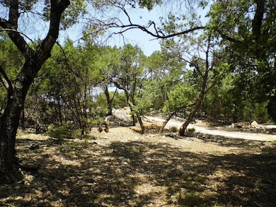 View of wooded area