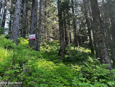 L15 B11 Malcolm St, Seldovia, AK 99663 - photo 3