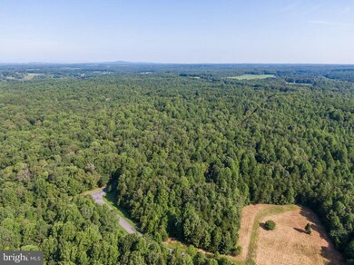 0 Terry's Run Rd unit VAOR134854, Unionville, VA 22567 - photo 5