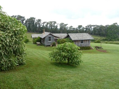 325 Waiahiwi Rd, Makawao, HI 96768 - photo 5