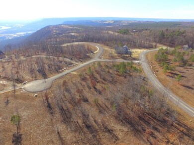 0 Eagle Eye Dr unit 1331986, Jasper, TN 37347 - photo 3