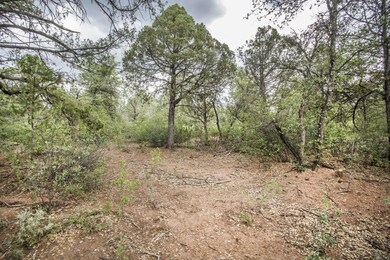 1901 N Conifer Cir, Payson, AZ 85541 - photo 6