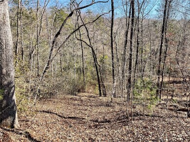 XX Marble Branch Trail, Walhalla, SC 29691 - photo 2