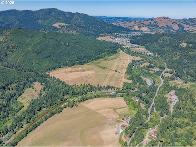 45651 Johnson Mountain Rd, Powers, OR 97466 - photo 4