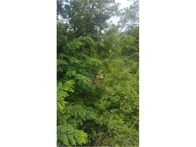 Property has not been forested. This view is also 