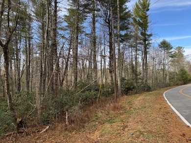 Tbd Joe Poore Rd, Jonas Ridge, NC 28657 - photo 3