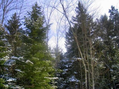Land/Lot.