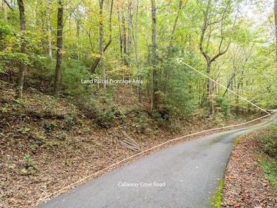 0 Calloway Cove Rd unit 418978, Hiawassee, GA 30546 - photo 7