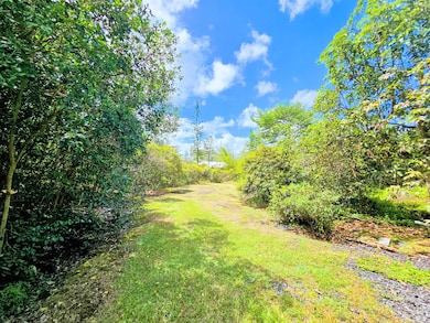 15-2031 24th Ave, Keaau, HI 96749 - photo 5