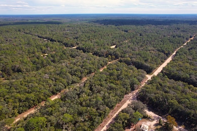 0 Brett Ave unit 25619302, Interlachen, FL 32148 - photo 4