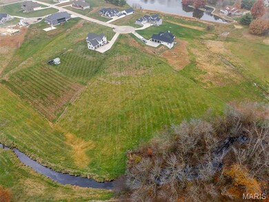 4650 Wyatt Way, Aviston, IL 62293 - photo 6