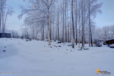 Big Yard!