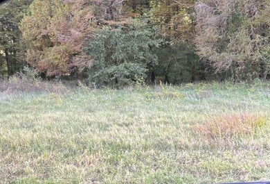 0 E Elm St, Corning, AR 72422 - photo 7