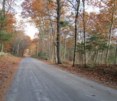 Strickland Ferry Wayne 018 (Custom) (2)