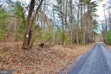 0 Dellinger Acres Rd, Edinburg, VA 22824 - photo 5