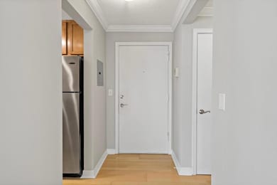 Entry area into unit, space for coats & shoes