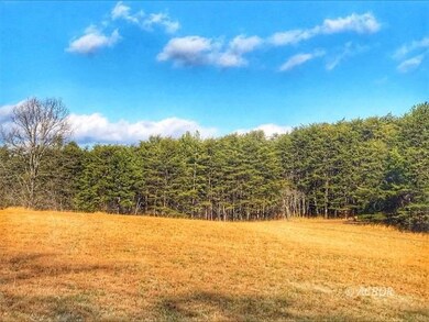 Field