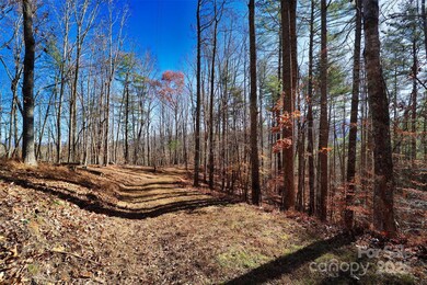 TBD Rockinghorse Trail unit Tract 2, Burnsville, NC 28714 - photo 4